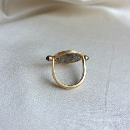 Ancient Greek Istros Silver Coin in 18K Gold Reversible Ring