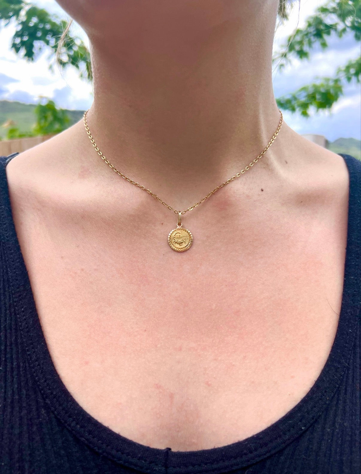 French Petite 18K Sagittarius Zodiac Medallion