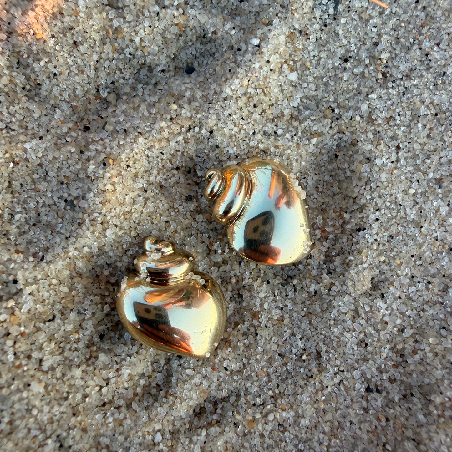 Angela Cummings Seashell Earrings