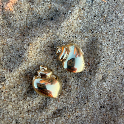 Angela Cummings Seashell Earrings