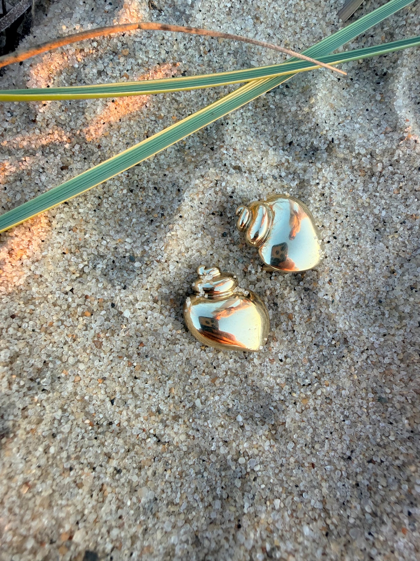 Angela Cummings Seashell Earrings