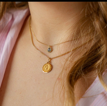 French Petite 18K Aquarius Zodiac Medallion